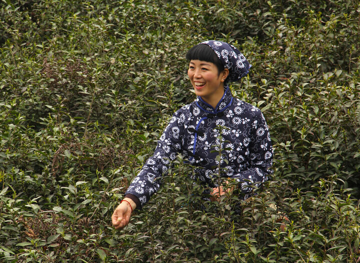 嘴唇直播下载 暗房诱惑